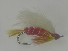 Skykomish sunrise fly