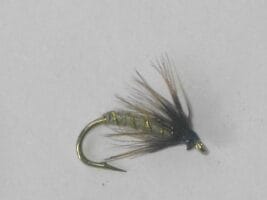 Greenwell's spider wet fly