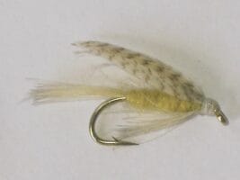 Light cahill wet fly