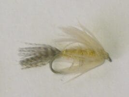 Mallard & cream wet fly