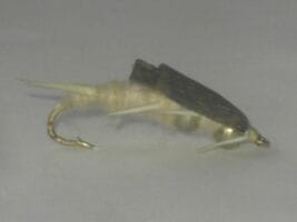 Double bead stone white