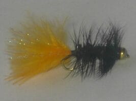 Beadhead Woolly Bugger orange