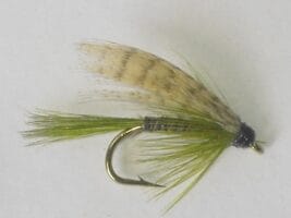 Olive quill wet fly