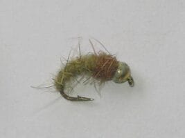 Tungsten Electric Caddis Fly