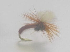 brown Klinkhammer fly 2