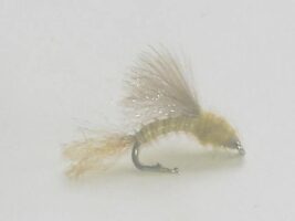 caddis emerger pmd fly