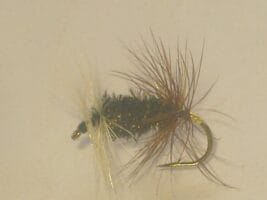 Renegade dry fly