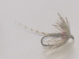 Callibaetis Spinner Fly