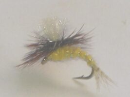 Travis Para Emerger Sulphur fly