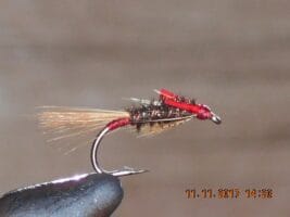 Diawl Bach Peacock Fly