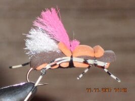 taylors fat albert orange Hi vis