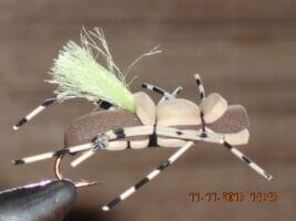 taylors fat albert tan Hi vis