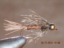 Bead head soft hackle pheasant tail