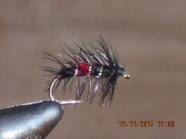 Bibio wet fly