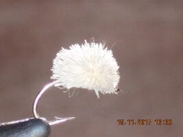 Carp bread crust white