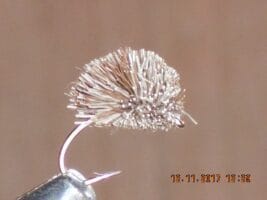 Carp dog biscuit brown fly