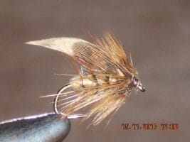Concoction wet fly