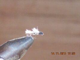 Black Emerging Midge