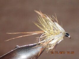 French partridge wet fly