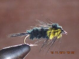 Montana nymph yellow
