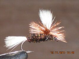 Parachute Coachman dry fly