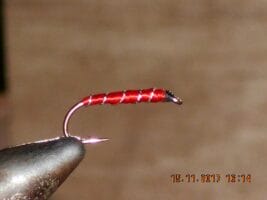 Red buzzer fly