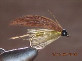 scooty scooty wet fly