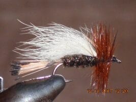 Trude peacock dry fly