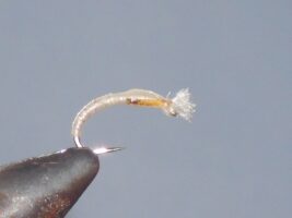 3-d glass white fishing fly