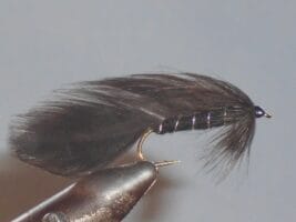 Black matuka fly