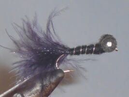 Booby Fly Black fly