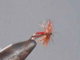 red Hopper fly