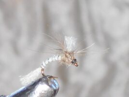 Cdc emergent parachute light