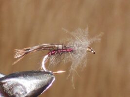 cdc classic sedge fly