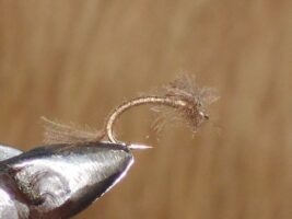 cdc cphemara vulgate spent fly