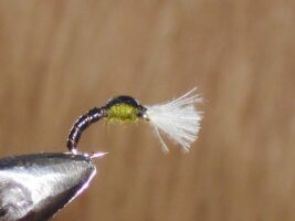 Cdc Olive Thorax Fly