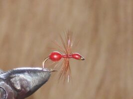 Epoxy red ant