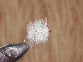 Palmer white dry fly