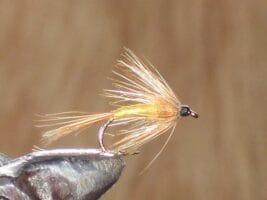 Tup's indispensable fly