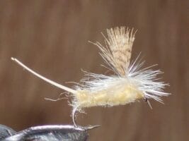 Hexagenia Para Drake Fly