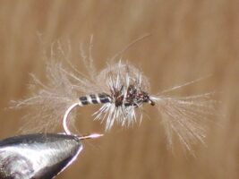 black cdc hatching midge