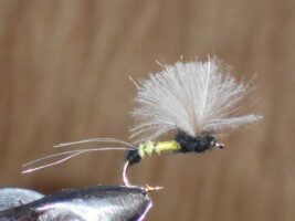 Cdc biot comparadun olive fly