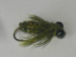 Dragon fly olive fly