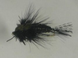 black Woven Stonefly