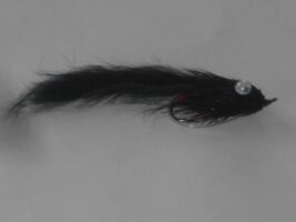 Hare water pup black fly