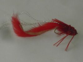 Sculpin swimmer red fly