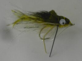 Swimming frog white belly fly