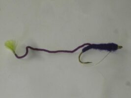 V worm purple fly