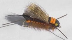 Orange Salmon fly hopper