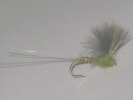 Cdc biot comparadun bwo